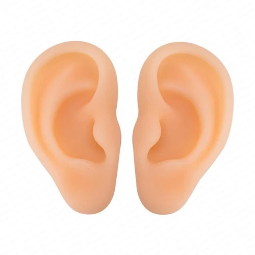2PCS Realistic Silicone Ear Models â€“ Soft Left & Right Fake Ears for Piercing video thumbnail