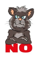 Holzschild 30X20 Cm No Katze Dekoration Deko Geschenk Holz Schild