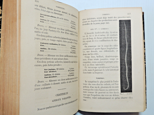 Prost-Lacuzon. Guide homéopathique pour traiter soi-même les maladies 1872 - Picture 11 of 11