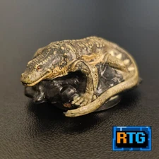 D&D Miniature and Card - Monitor Lizard #29 - Dungeons and Dragons - RPG