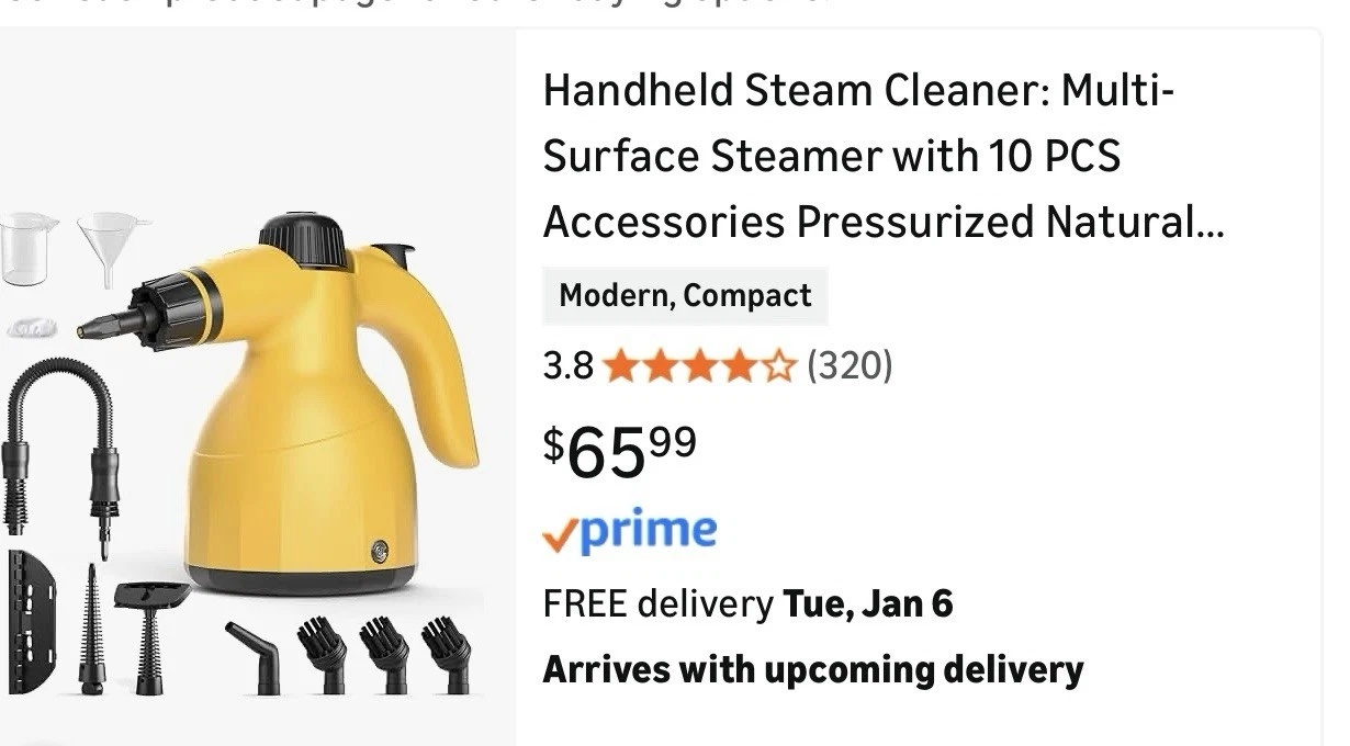 Steam Cleaner Handheld