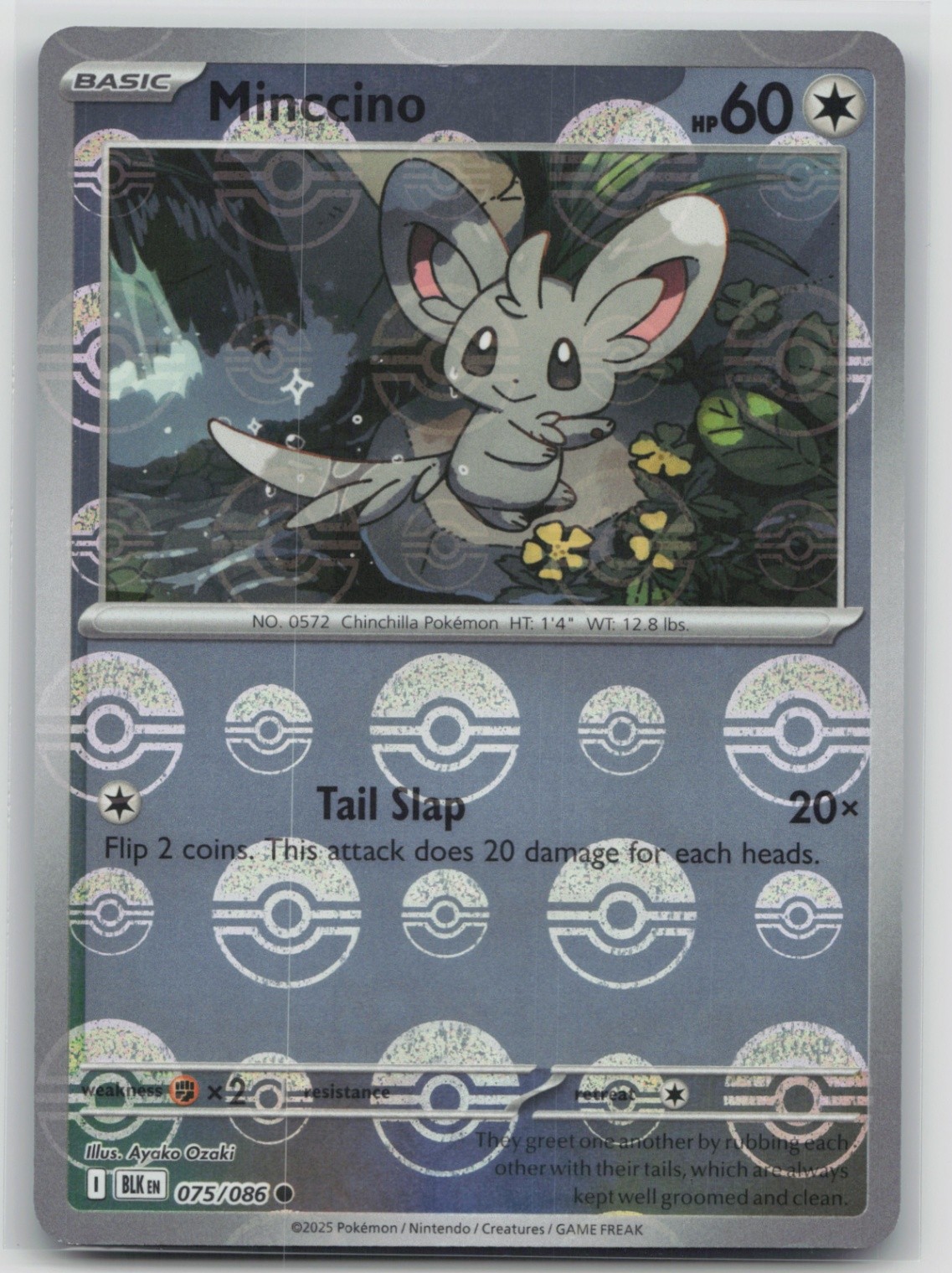 Pokemon Card Minccino (Poke Ball Pattern) Common SV: Black Bolt 075/086 NM