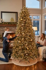 9 Ft. Jackson Noble Fir LED Pre-Lit Artificial Christmas Tree T24