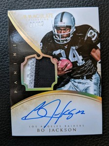 bo jackson autographed jersey