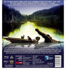 Bild 2 von 2