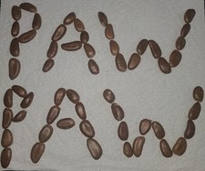 SEMILLAS DE ÁRBOL FRUTAL PAW PAW Planta Resistente Asimina Triloba. 3 semillas por paquete.