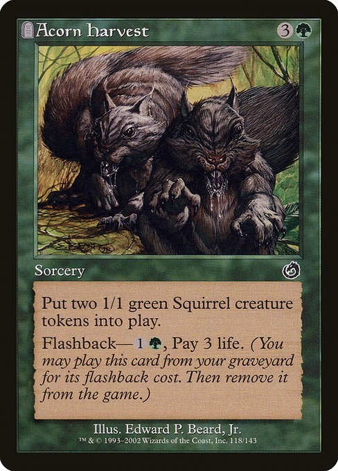 MTG Torment --- ACORN HARVEST --- Common! NM! Magic the Gathering!