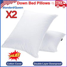 Goose Feather Down Pillows 2PK - Queen, High Fill, Soft Cotton Cover, Supportive