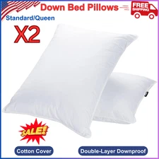 Goose Feather Down Pillows 2PK - Queen, High Fill, Soft Cotton Cover, Supportive