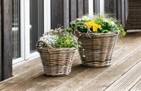"Pflanz-Korb \"Rattan\" Klein, Blumen Pflanz Rattan Weuden Korb KüBel"