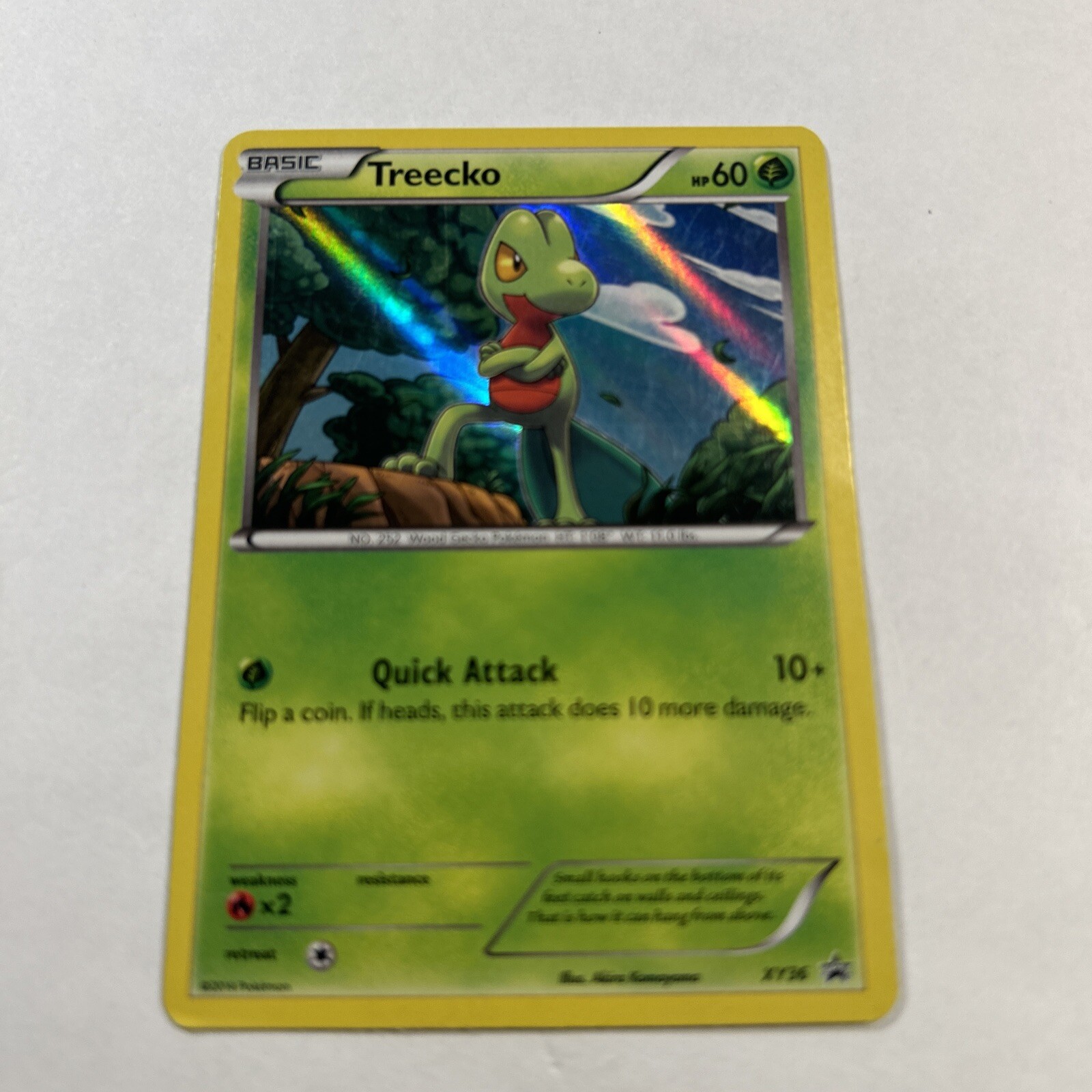 Treecko XY36 HOLO RARE Black Star Promo Pokemon Card TCG VLP 2014