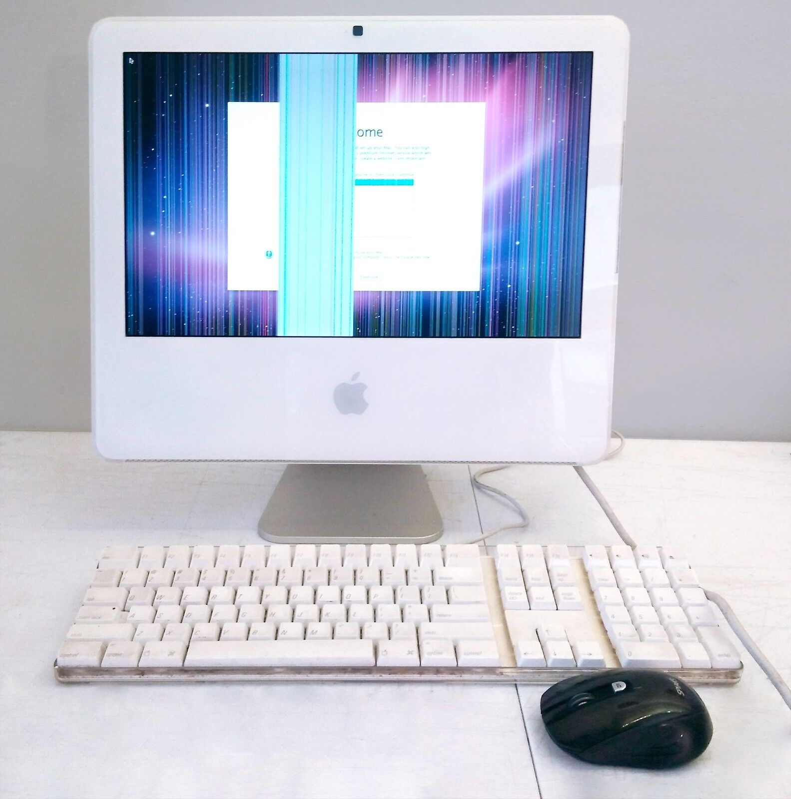 Apple iMac 17-In (2006 Core 2 Duo MA590LL) 1GB RAM, 160GB HDD, - Screen  Faulty