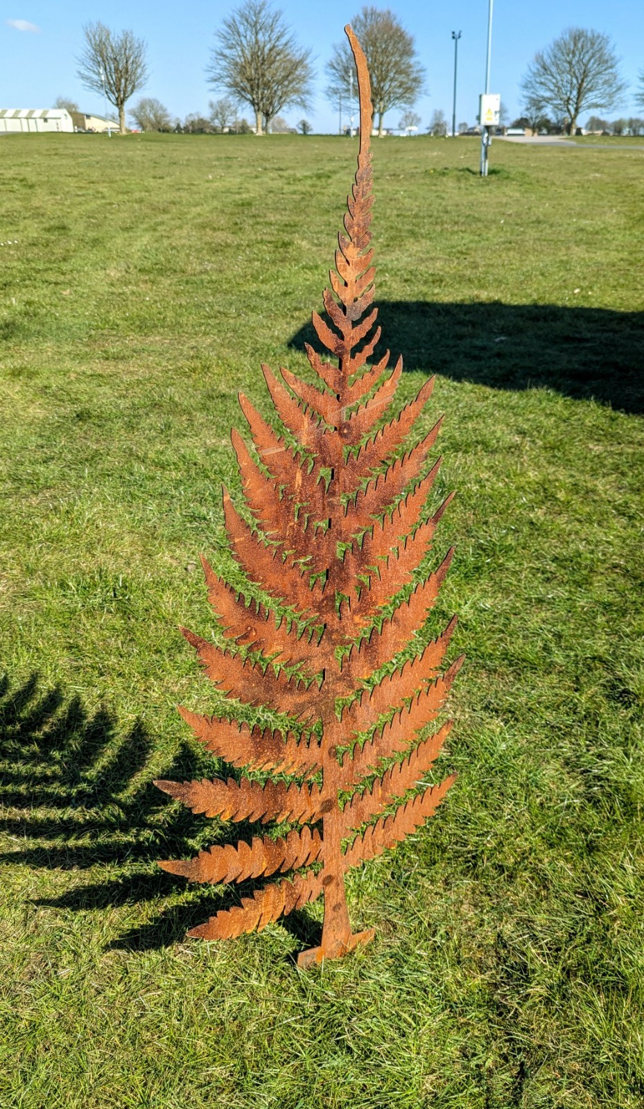 Picture 2 of 4
