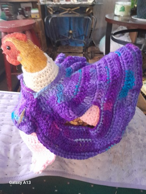 #ad chicken poultry supplies Chicken Sweater . Keeps Hen Warm $26.99