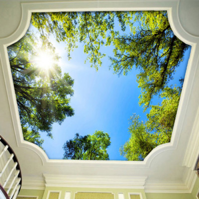3D Wall Mural Wallpaper Sky Ceiling Mural Wallpaper Sunlight Green Forest Room