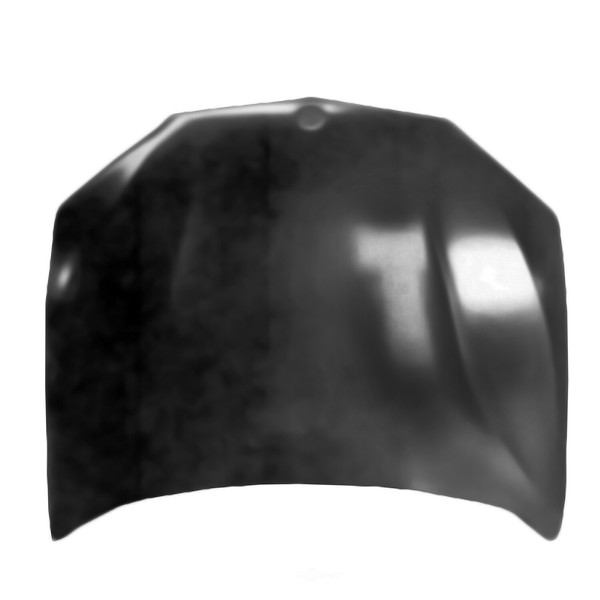 Hood Panel LKQ CORP BM1230146C for sale online eBay