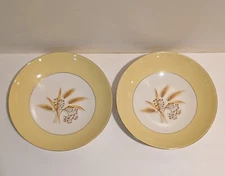 Vtg. Century Service Autumn Gold Semi Vitreous 8 1/4" Soup Bowls Set of 2