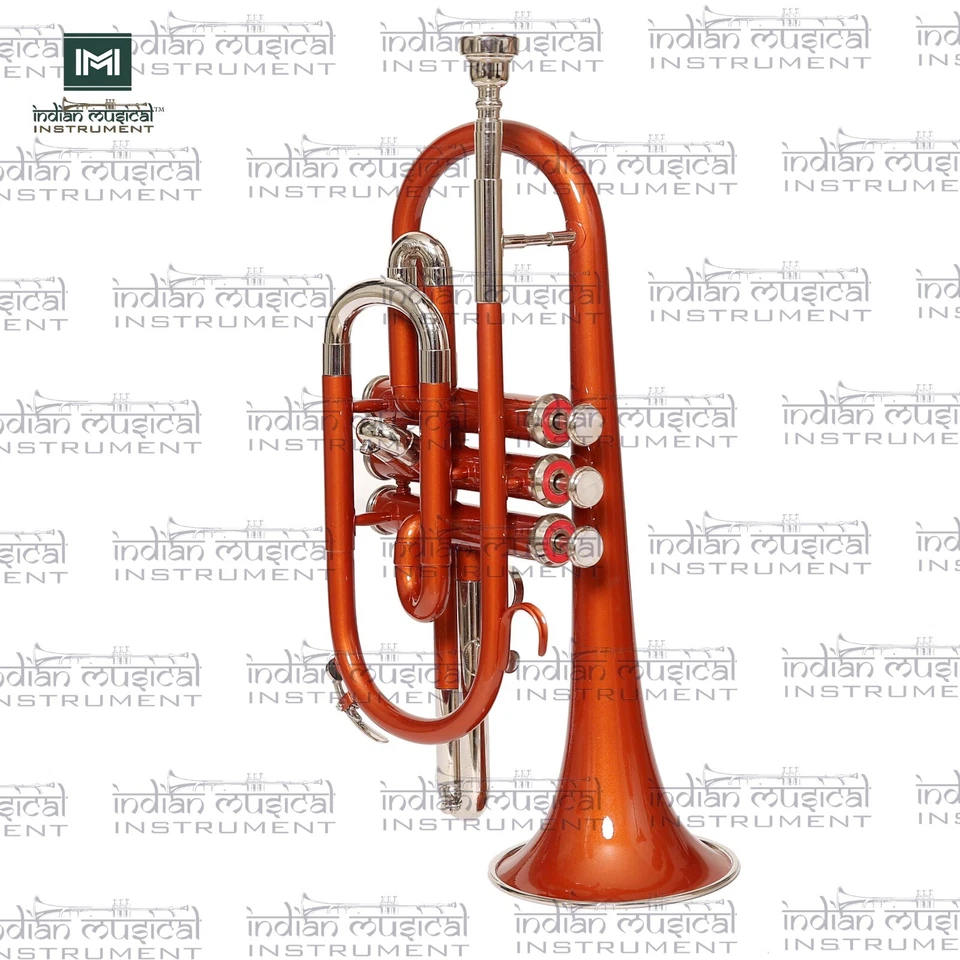 Corneta de latón 3 válvulas paso Bb boquilla lisa guantes estuche instrumentos musicales Foto 3 de 4