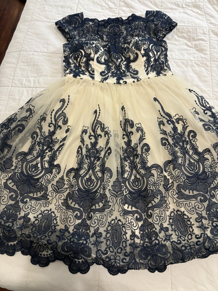 terani couture lace dress Terani Couture 251GL4199 main image 0