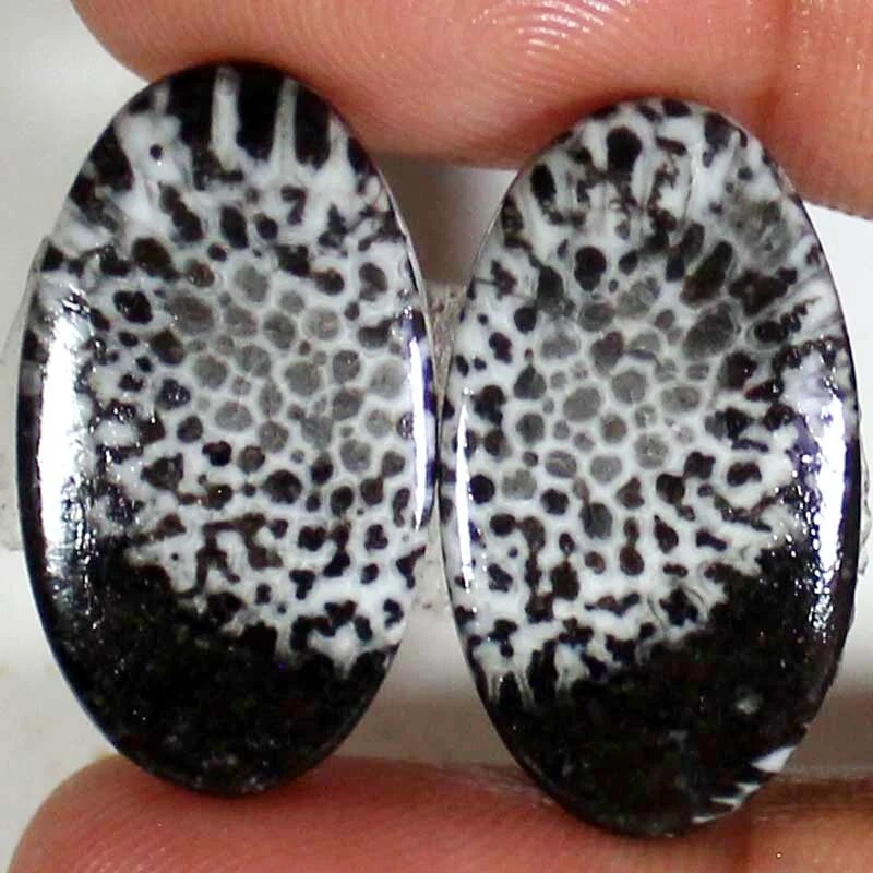 Black clearance coral gem