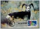 #3997h Chinese Lunar New Year Ram FDC Maxi Card