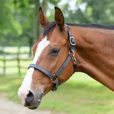 NEW Smartpak Double Stitched Leather Halter Brown Oversize