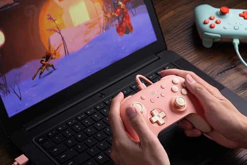 8Bitdo Ultimate 2C Wired Controller for Windows PC and Android, with 1000Hz Poll - Picture 4 of 10