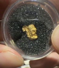 1.01 Gram Idaho  Belshazzar Mine - XRF TESTED 23.5k+ - Plant The Seed of Wealth
