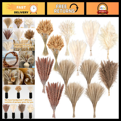 300 PCS Dried Pampas Grass - Boho Decor for Weddings, Home Centerpieces & Nurser