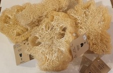Jolis Baumes Naural Loofah Sponge Lot Of 5 Bath Sponges Exfoliate Your Skin