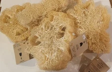 Jolis Baumes Naural Loofah Sponge Lot Of 5 Bath Sponges Exfoliate Your Skin