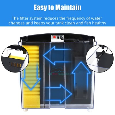 Betta Tank Cleaning Frequency: Ultimate Guide for Healthy Fish