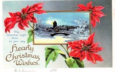 Antique Christmas Poinsettia Cold Winter Night Moonlight Spooky Vtg Postcard F18