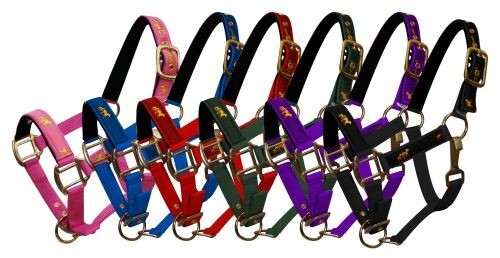PONY HALFTER verstellbar Nylon LAUFPFERD Design Neopren gefüttert Nase - Bild 1 von 7