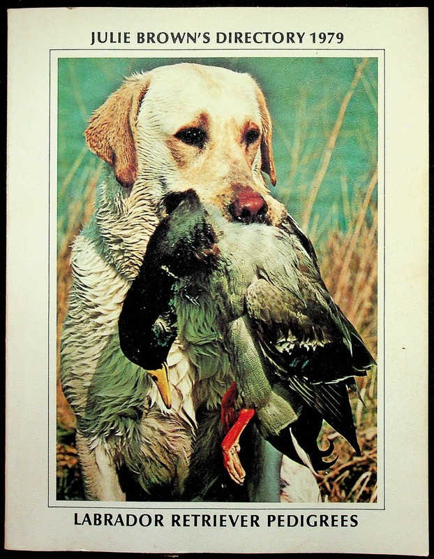 Julie Brown's Directory To Labrador Retriever Pedigrees 1979 Dog Book W/ Photos