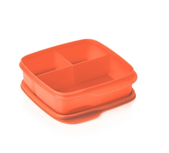 Tupperware Lunch Box Divided Bento Boxes Meal Prep Container Orange and Green