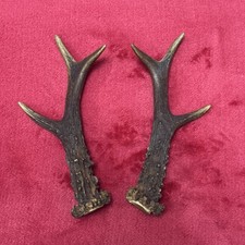 PAIR OF ROE DEER ANTLERS , 106g. aprox. 16/16,5cm.