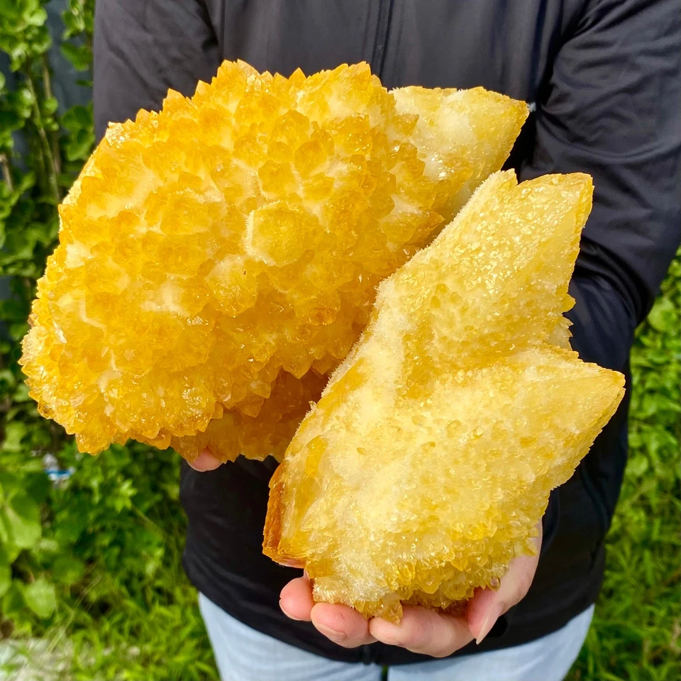 11 Pfund Spirit Quartz Kaktus Kristall Cluster CC876 Sonnenschein Goldener Heiler