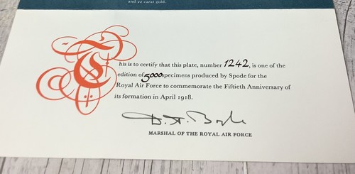 Spode WW2 50th Anniversary Commemorative RAF Plate Boxed Limited Edition Boxed - Picture 6 of 11