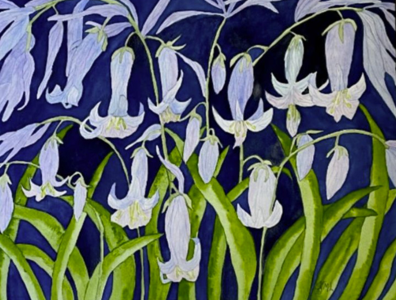 PAINTING WATERCOLOR 11X14 WHITE MAT 16X20 FLOWERS BLUEBELL PURPLE BLUE LAVENDER