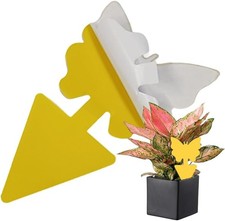 Ram® 60PCS Fruit Fly Traps Insects Bugs Catcher Sticky Waterproof Fungus Gnat