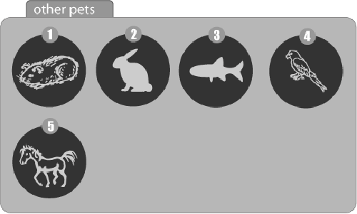 Engraved dog and cat pet memorial - Picture 6 of 6