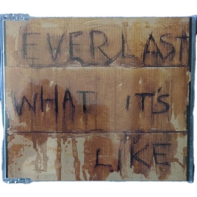 Everlast - What It's Like (Maxi-CD 1999 - Erstausgabe)