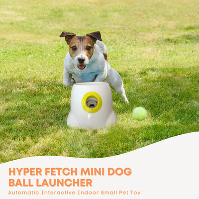 Hyper Fetch Mini Dog Ball Thrower