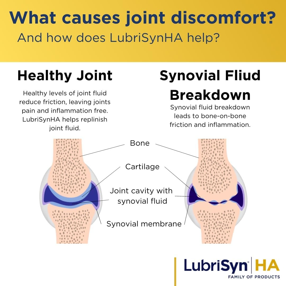 LubriSynHA Human Joint Supplement, Grape 3 x 11.5oz – All-Natural,... 