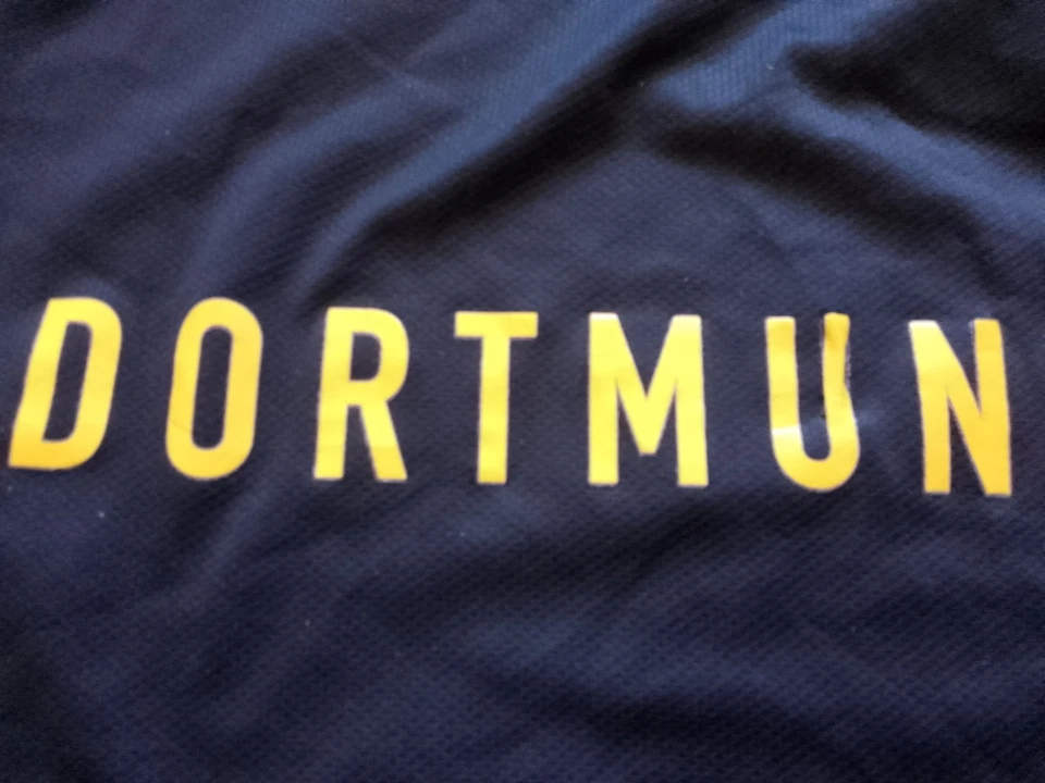Borussia Dortmund Trikot 2008/09 NIKE EVONIK BVB Gr. L Jersey Shirt - Bild 4 von 4
