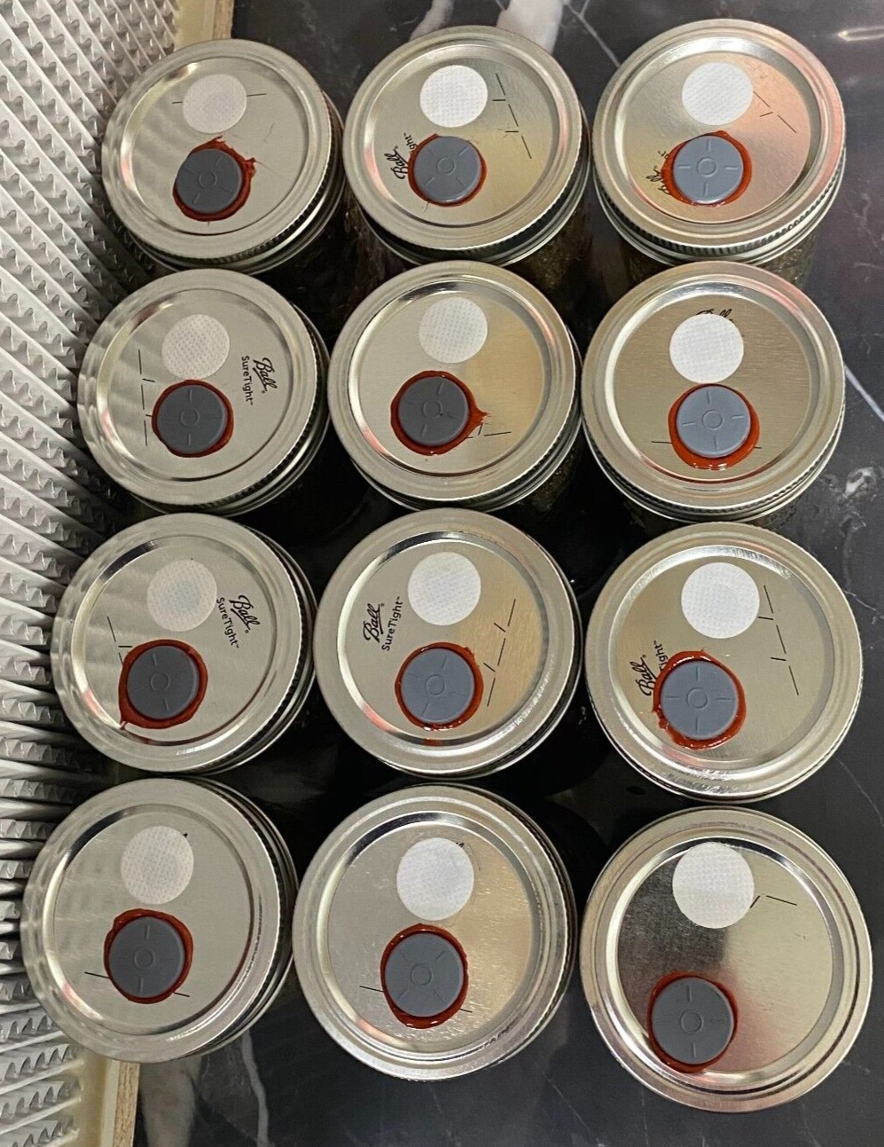 Pf Tek, 12 pack 4oz sterilized brf jars eBay