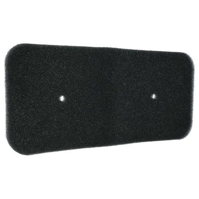 Schwammfilter für Candy EVOC 9813NA1 31100621 EVOC 9813NA1 31100557
