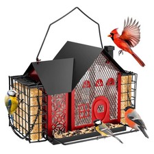 Papettly Metal Hanging Bird Feeder with Double Suet Cage for Outdoors