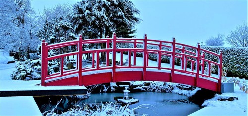 LARGE KOI POND PEDESTRIAN BRIDGE FOR PARKS, GARDENS, STREAMS OR RIVERS - Picture 3 of 6